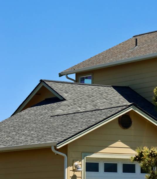 Best Roof Maintenance and Cleaning  in Wales, WI